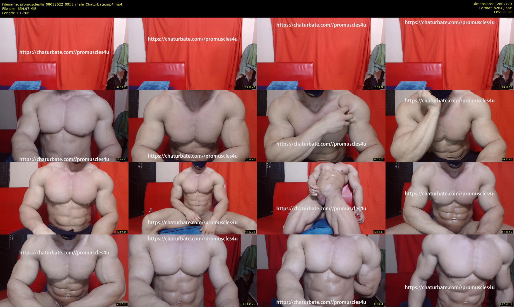 promuscles4u — Chaturbate preview 2022-03-08